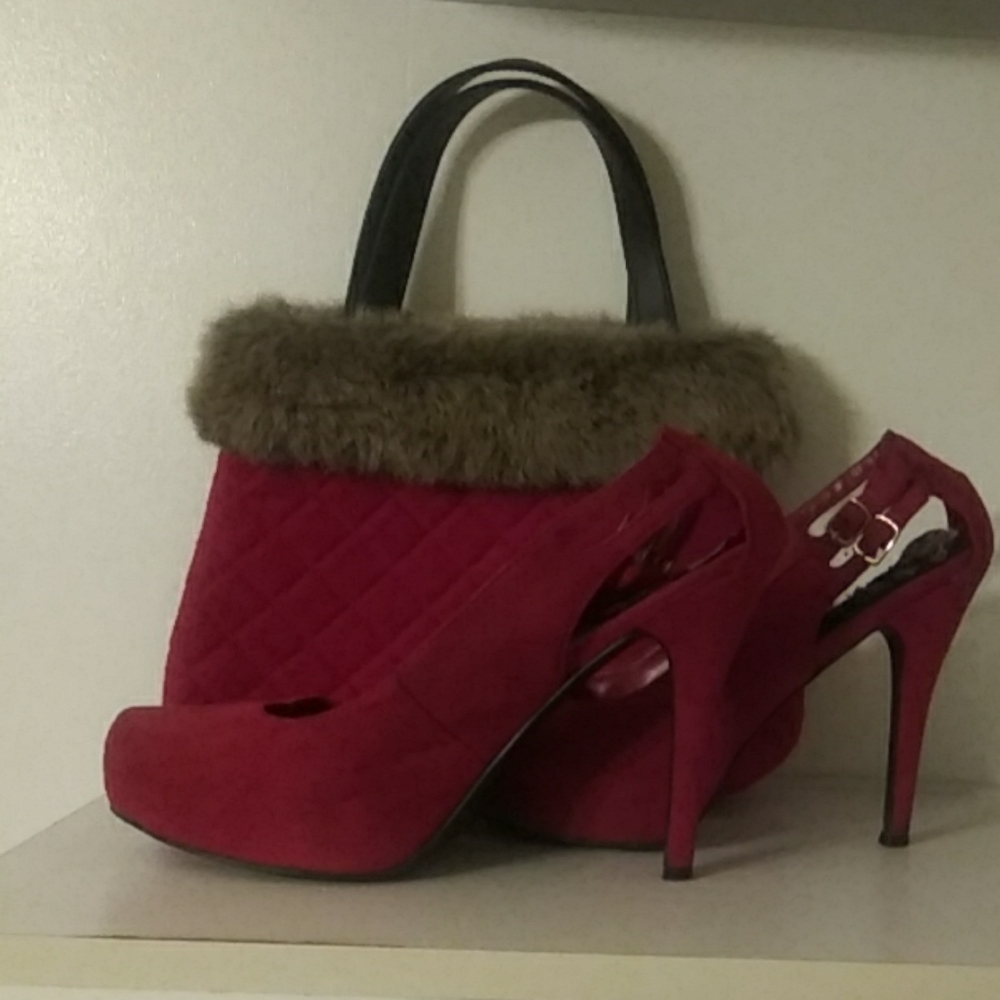 Purse an Shoe Set